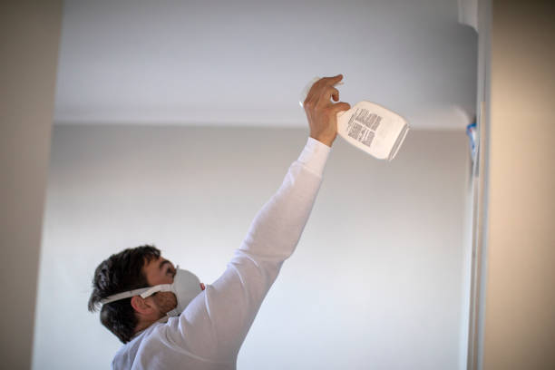 Mold Removal and Inspection in Kelly Ridge, CA