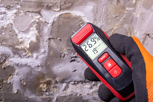 Best Mold Testing  in Kelly Ridge, CA